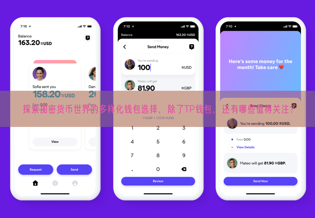 探索加密货币世界的多样化钱包选择，除了TP钱包，还有哪些值得关注？