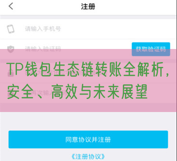 TP钱包生态链转账全解析，安全、高效与未来展望