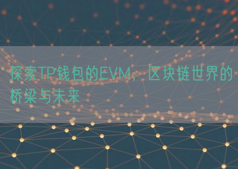 探索TP钱包的EVM，区块链世界的桥梁与未来