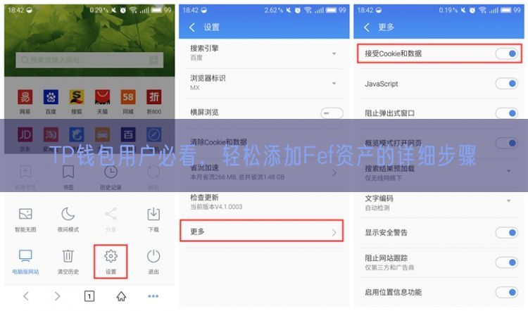 TP钱包用户必看，轻松添加Fef资产的详细步骤
