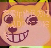 探索tp钱包为何不见DOGE币踪影