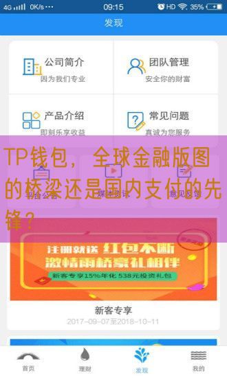 TP钱包，全球金融版图的桥梁还是国内支付的先锋？