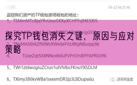 探究TP钱包消失之谜，原因与应对策略