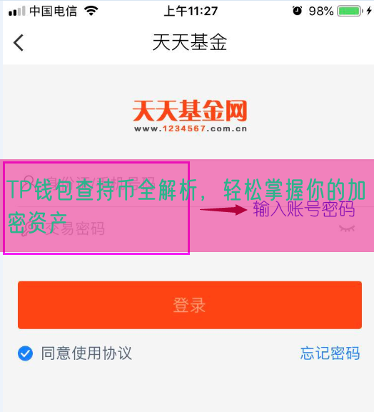 TP钱包查持币全解析，轻松掌握你的加密资产