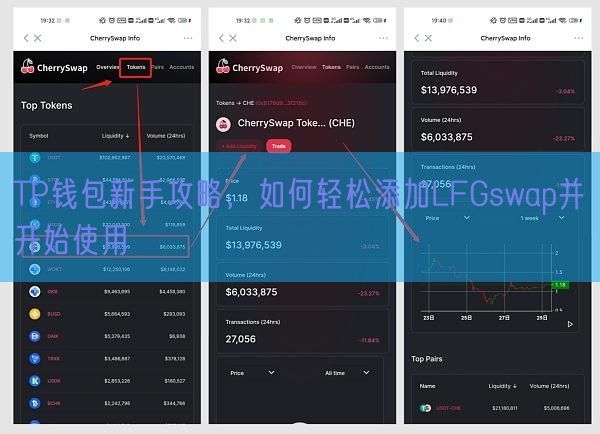 TP钱包新手攻略，如何轻松添加LFGswap并开始使用