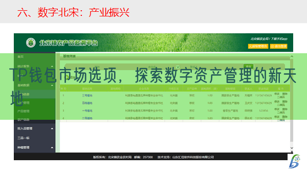 TP钱包市场选项，探索数字资产管理的新天地