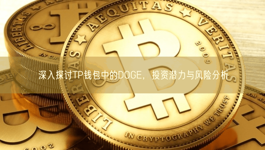 深入探讨TP钱包中的DOGE，投资潜力与风险分析