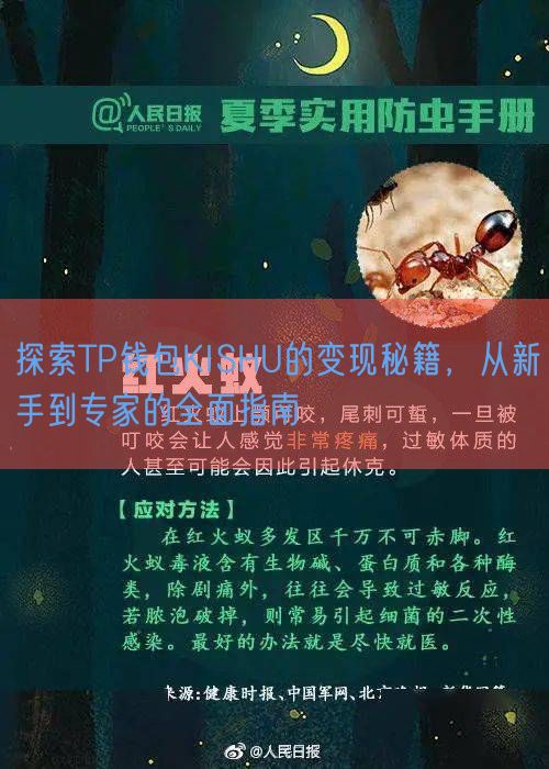 探索TP钱包KISHU的变现秘籍，从新手到专家的全面指南