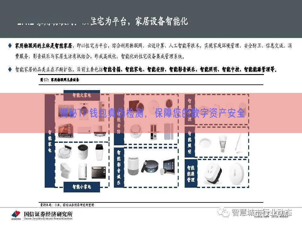 揭秘TP钱包真伪检测，保障您的数字资产安全