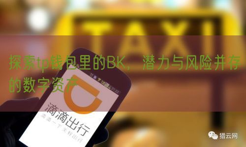 探索tp钱包里的BK，潜力与风险并存的数字资产