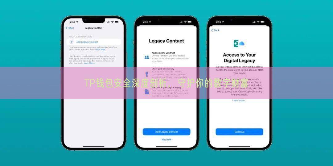 TP钱包安全深度剖析，守护你的数字财富