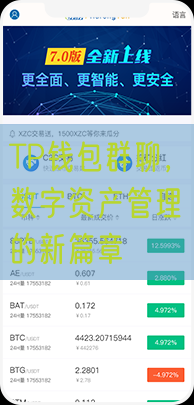 TP钱包群聊，数字资产管理的新篇章