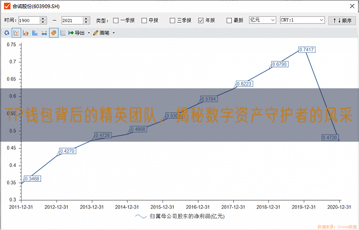 TP钱包背后的精英团队，揭秘数字资产守护者的风采