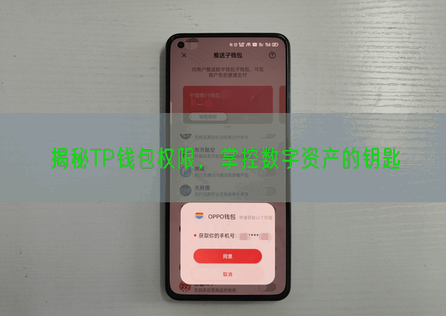 揭秘TP钱包权限，掌控数字资产的钥匙
