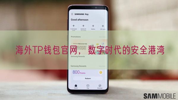 海外TP钱包官网，数字时代的安全港湾