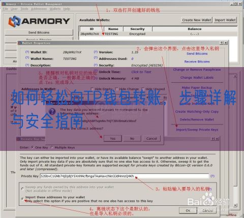 如何轻松向TP钱包转账，步骤详解与安全指南