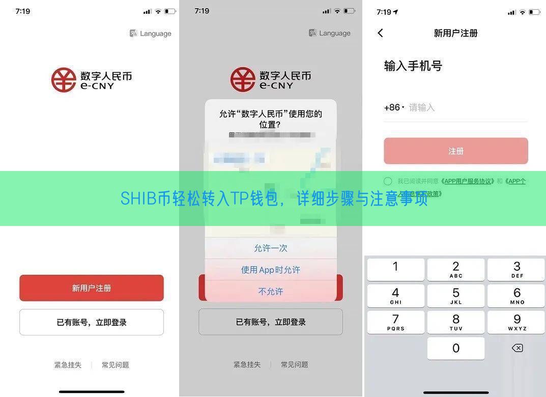 SHIB币轻松转入TP钱包，详细步骤与注意事项