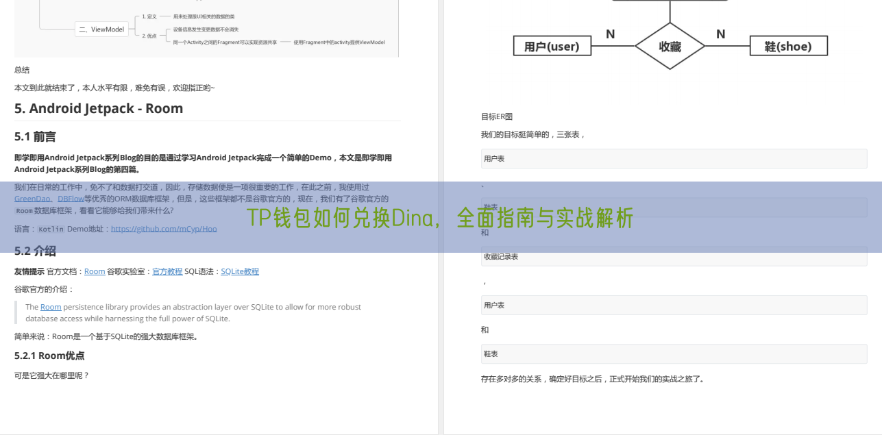 TP钱包如何兑换Dina，全面指南与实战解析