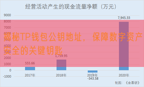 揭秘TP钱包公钥地址，保障数字资产安全的关键钥匙