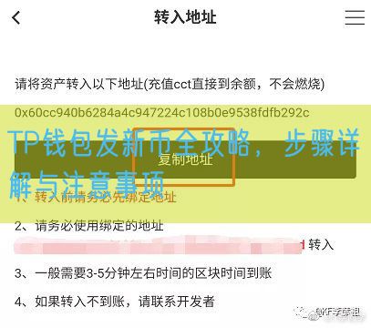 TP钱包发新币全攻略，步骤详解与注意事项