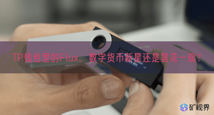 TP钱包里的Flux，数字货币新星还是昙花一现？