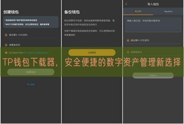 TP钱包下载器，安全便捷的数字资产管理新选择