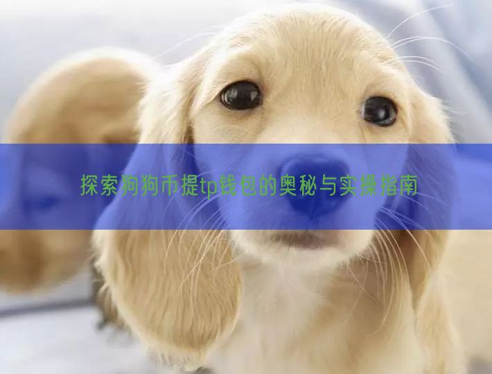 探索狗狗币提tp钱包的奥秘与实操指南