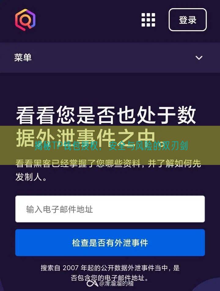 揭秘TP钱包授权，安全与风险的双刃剑