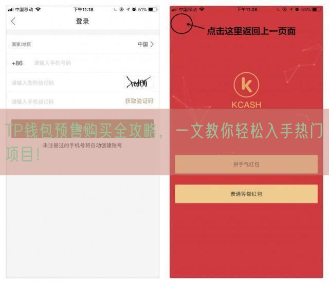 TP钱包预售购买全攻略，一文教你轻松入手热门项目！