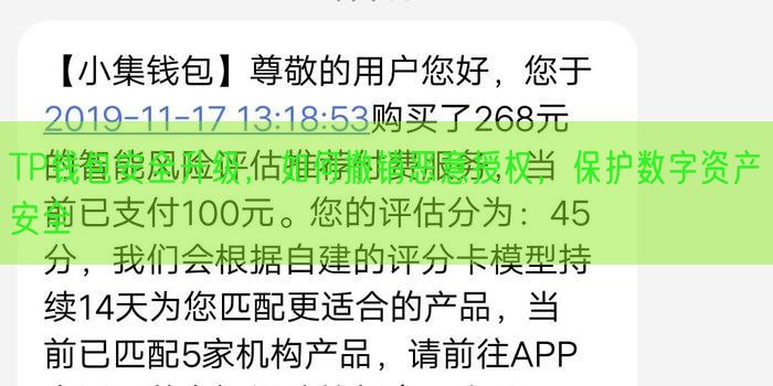 TP钱包安全升级，如何撤销恶意授权，保护数字资产安全