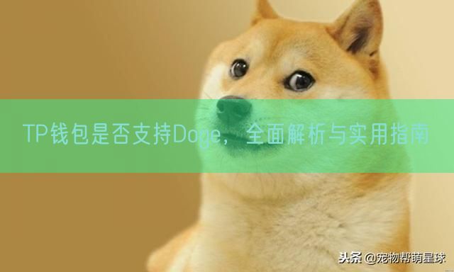 TP钱包是否支持Doge，全面解析与实用指南