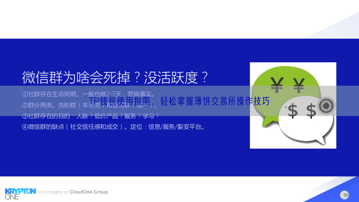 TP钱包使用指南，轻松掌握薄饼交易所操作技巧