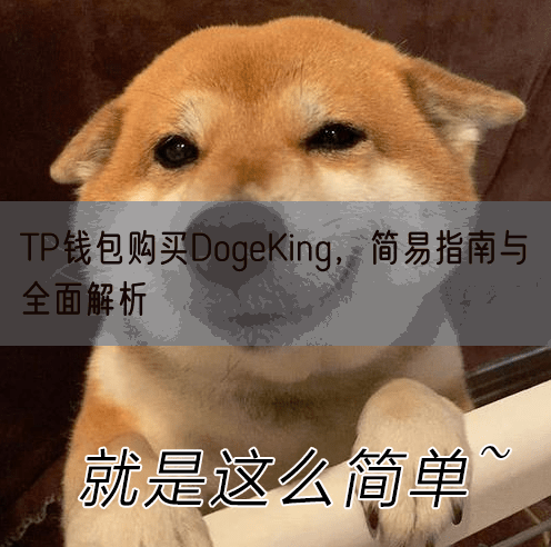 TP钱包购买DogeKing，简易指南与全面解析