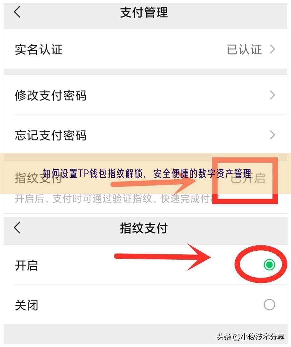 如何设置TP钱包指纹解锁，安全便捷的数字资产管理