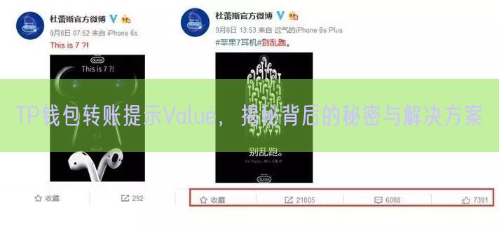 TP钱包转账提示Value，揭秘背后的秘密与解决方案