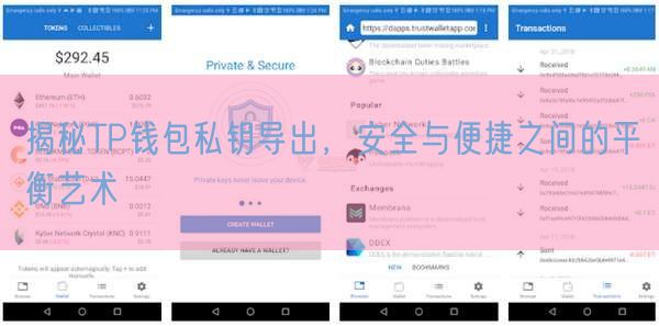 揭秘TP钱包私钥导出，安全与便捷之间的平衡艺术
