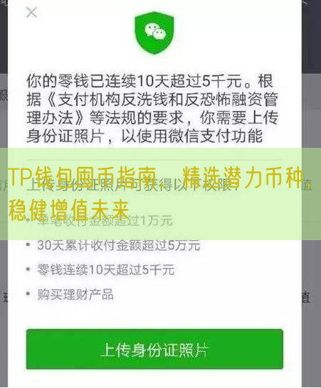 TP钱包囤币指南，精选潜力币种，稳健增值未来