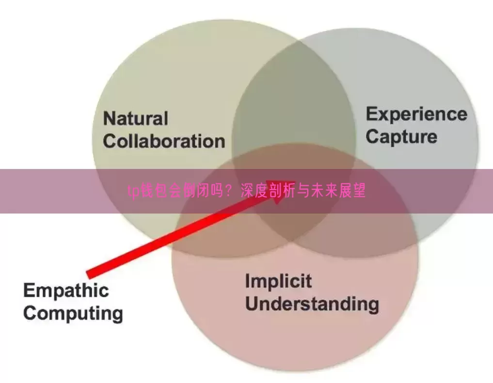 tp钱包会倒闭吗？深度剖析与未来展望