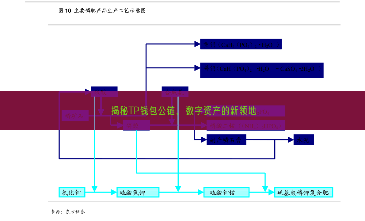 揭秘TP钱包公链，数字资产的新领地