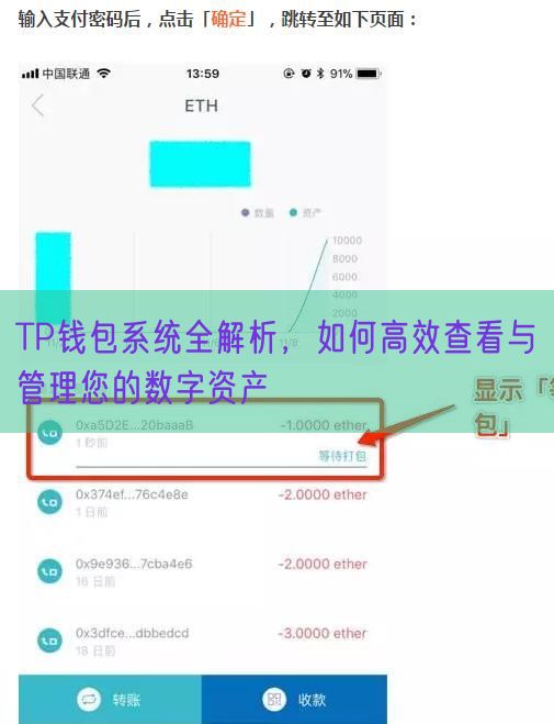 TP钱包系统全解析，如何高效查看与管理您的数字资产