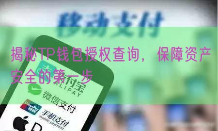 揭秘TP钱包授权查询，保障资产安全的第一步