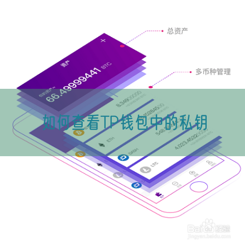 如何查看TP钱包中的私钥