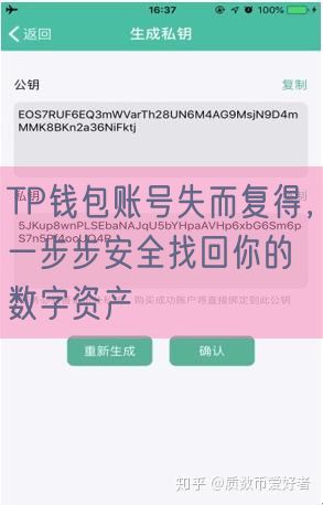 TP钱包账号失而复得，一步步安全找回你的数字资产