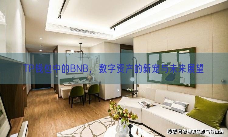 TP钱包中的BNB，数字资产的新宠与未来展望