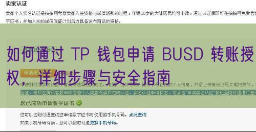 如何通过 TP 钱包申请 BUSD 转账授权，详细步骤与安全指南