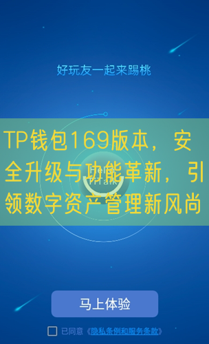 TP钱包169版本，安全升级与功能革新，引领数字资产管理新风尚