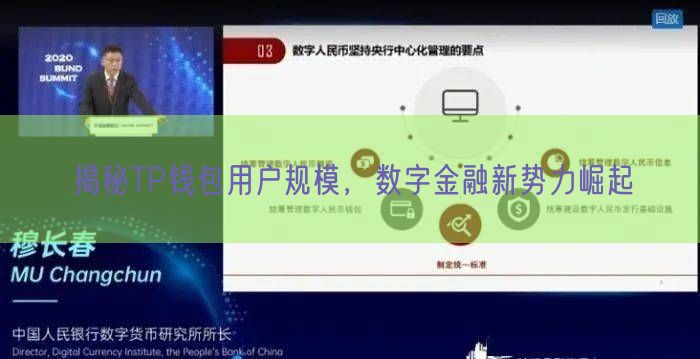 揭秘TP钱包用户规模，数字金融新势力崛起