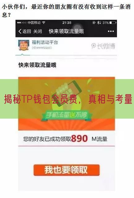  揭秘TP钱包会员费，真相与考量