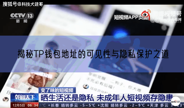 揭秘TP钱包地址的可见性与隐私保护之道