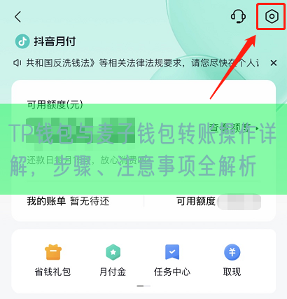 TP钱包与麦子钱包转账操作详解，步骤、注意事项全解析
